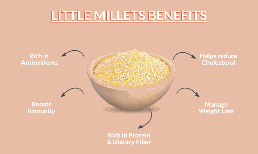 Little Millet Hakka Noodles
