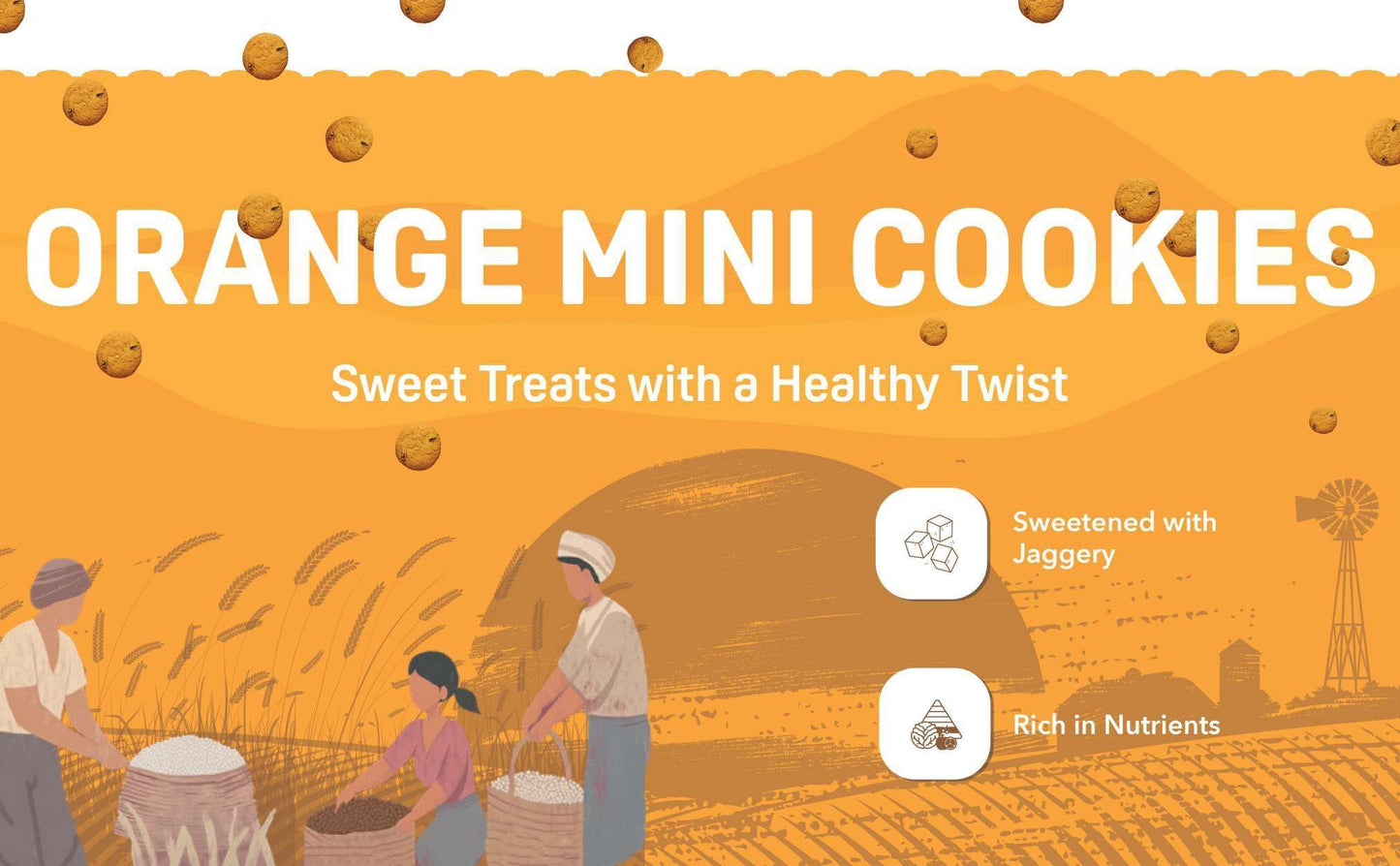 Natible Probiotic Orange Mini Cookies