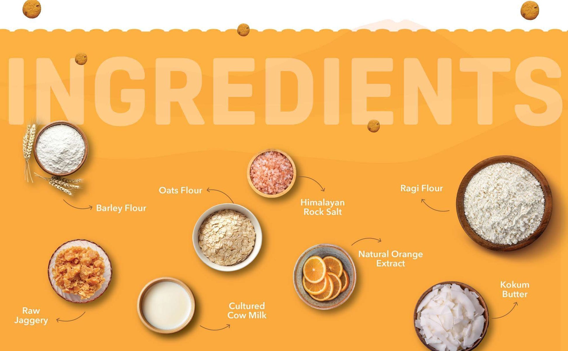 Natible Probiotic Orange Mini Cookies