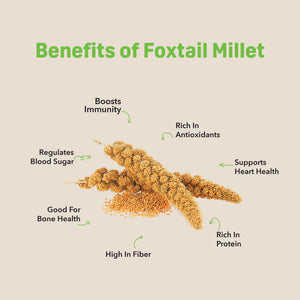 Foxtail Millet Hakka Noodles