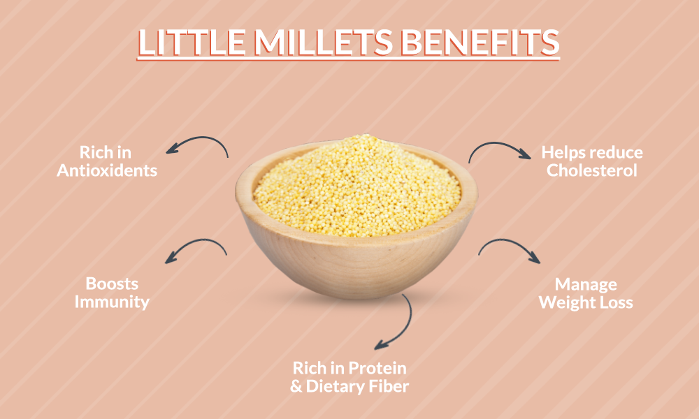 Little Millet Hakka Noodles